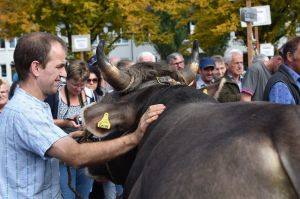 9DSC_4126